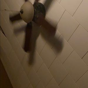 Meet your Posher, Nicholas